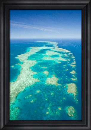 Framed Australia, Cairns, Great Barrier Reef, Elford Reef Print