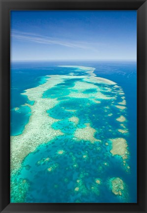 Framed Australia, Cairns, Great Barrier Reef, Elford Reef Print