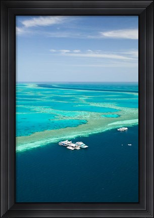 Framed Australia, Whitsunday Coast, Great Barrier Reef (vertical) Print