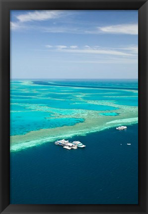 Framed Australia, Whitsunday Coast, Great Barrier Reef (vertical) Print