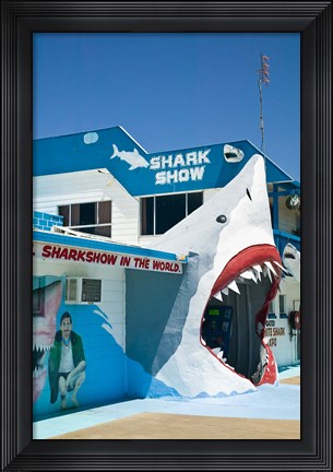 Framed Australia, Queensland, Hervey Bay, Shark Show Print