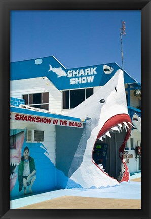 Framed Australia, Queensland, Hervey Bay, Shark Show Print