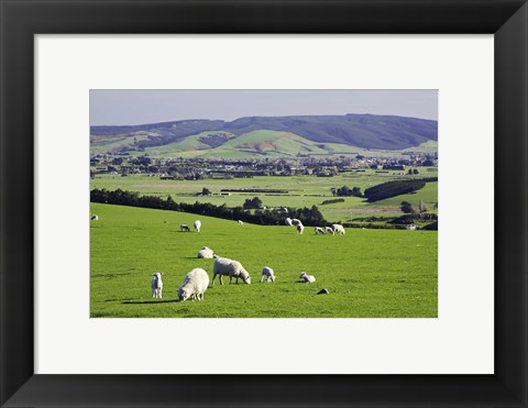 Framed Farmland at Milburn, South Otago, South Island, New Zealand Print