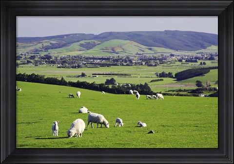 Framed Farmland at Milburn, South Otago, South Island, New Zealand Print