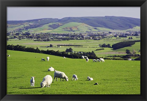 Framed Farmland at Milburn, South Otago, South Island, New Zealand Print