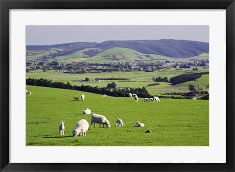 Framed Farmland at Milburn, South Otago, South Island, New Zealand Print