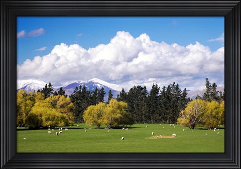 Framed Farmland in Southland, South Island, New Zealand Print