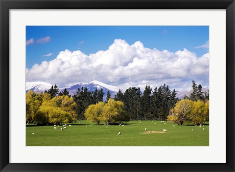 Framed Farmland in Southland, South Island, New Zealand Print