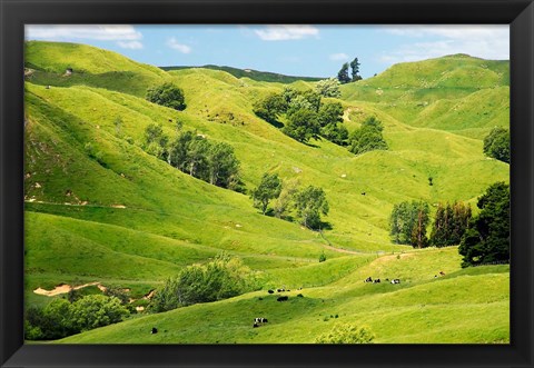 Framed Farmland near Gisborne, New Zealand Print