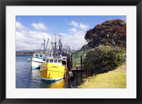 Framed Fishing Boats, Tauranga Harbor, Tauranga, New Zealand Print