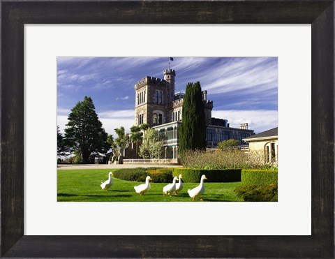 Framed Larnach Castle, Otago Peninsula, Dunedin, South Island, New Zealand Print