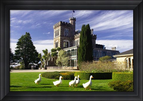 Framed Larnach Castle, Otago Peninsula, Dunedin, South Island, New Zealand Print