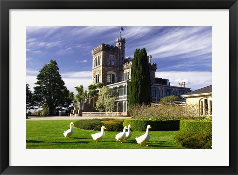 Framed Larnach Castle, Otago Peninsula, Dunedin, South Island, New Zealand Print