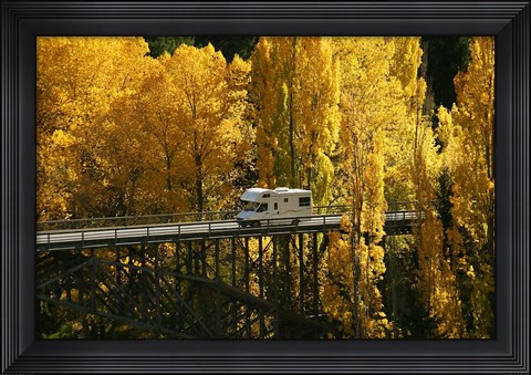Framed Autumn Colors, Victoria Bridge, Kawarau Gorge, South Island, New Zealand Print