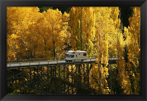 Framed Autumn Colors, Victoria Bridge, Kawarau Gorge, South Island, New Zealand Print