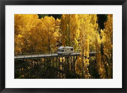 Framed Autumn Colors, Victoria Bridge, Kawarau Gorge, South Island, New Zealand Print