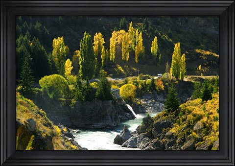 Framed Autumn Colours, Kawarau River, Kawarau Gorge, South Island, New Zealand Print