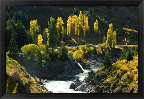 Framed Autumn Colours, Kawarau River, Kawarau Gorge, South Island, New Zealand Print