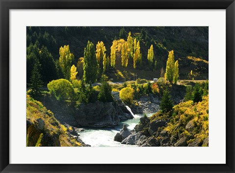 Framed Autumn Colours, Kawarau River, Kawarau Gorge, South Island, New Zealand Print