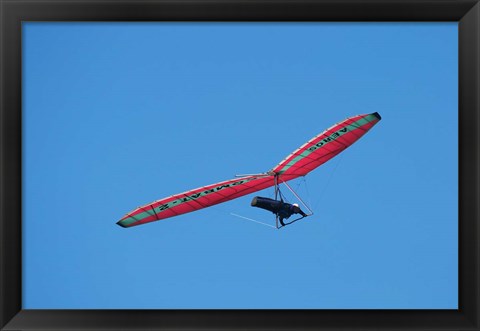 Framed Hang glider, Otago Peninsula, South Island, New Zealand Print
