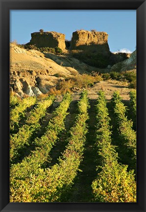 Framed Mt Difficulty Vineyard and Historic Sluicings, Bannockburn, South Island, New Zealand Print