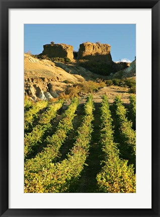 Framed Mt Difficulty Vineyard and Historic Sluicings, Bannockburn, South Island, New Zealand Print