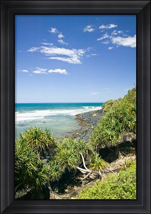 Framed Australia, Gold Coast, Burleigh Head NP beach Print