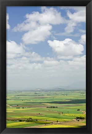 Framed Australia, Queensland, Coastal Plains agriculture Print