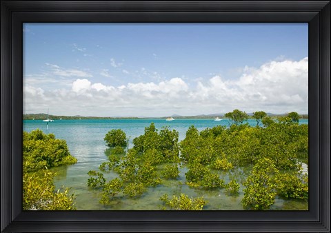 Framed Australia, Queensland, Town of 1770, Bustard Bay Print