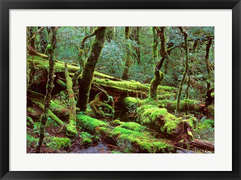 Framed Cradle Mt and Lake St Clair National Park, Tasmania, Australia Print