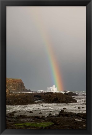 Framed New Zealand, South Island A rainbow arcs over Curio Bay Print