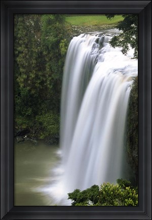Framed Whangarei Falls, Whangarei, Northland, New Zealand Print