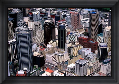 Framed Auckland skyscapers, New Zealand Print