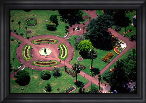 Framed Albert Park and Auckland CBD, New Zealand Print