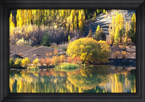 Framed Autumn Colours, Lake Dunstan, Central Otago, New Zealand Print