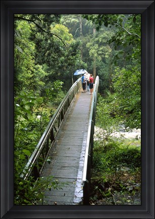 Framed Bridge Below Whangarei Falls, Northland, New Zealand Print