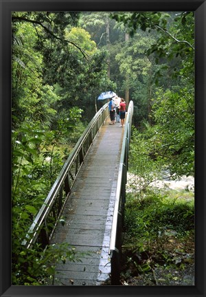 Framed Bridge Below Whangarei Falls, Northland, New Zealand Print