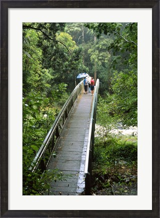 Framed Bridge Below Whangarei Falls, Northland, New Zealand Print