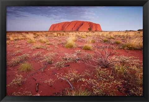 Framed Australia, Uluru-Kata Tjuta NP, Outback, Ayers Rock Print