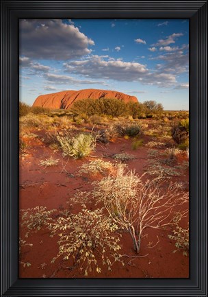 Framed Australia, Uluru-Kata Tjuta NP, Red desert, Ayers Rock Print