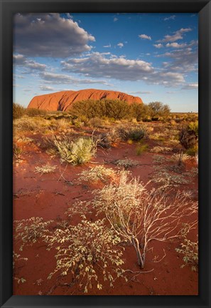 Framed Australia, Uluru-Kata Tjuta NP, Red desert, Ayers Rock Print