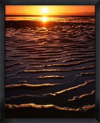 Framed Coast at sunset, Abel Tasman National Park, New Zealand Print
