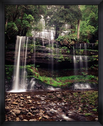 Framed Australia, Tasmania, Mount Field NP, Russell Falls Print
