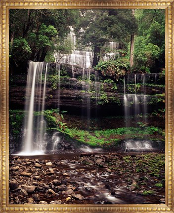 Framed Australia, Tasmania, Mount Field NP, Russell Falls Print
