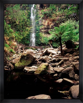 Framed Erskine Falls, Lorne, Victoria, Australia Print