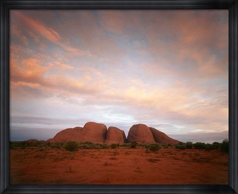 Framed Olgas, Uluru-Kata Tjuta NP, Northern Territory, Australia Print