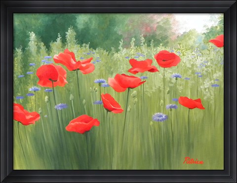 Framed Backyard Poppies Print