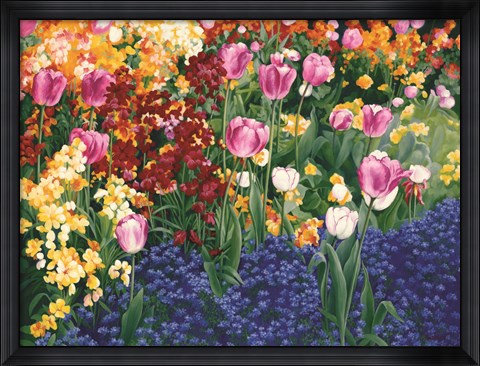 Framed English Tulips Print