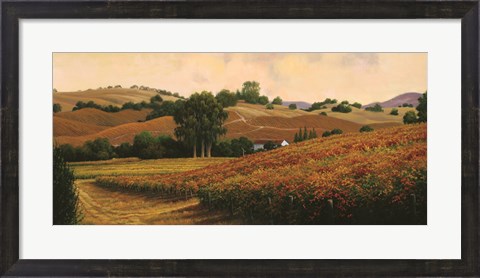 Framed Carneros Vineyards Print
