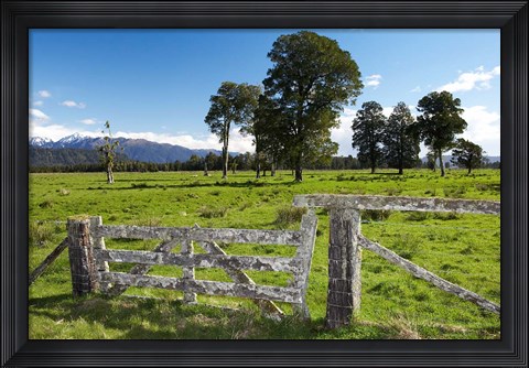 Framed Gate and Farmland near Fox Glacier, West Coast, South Island, New Zealand Print